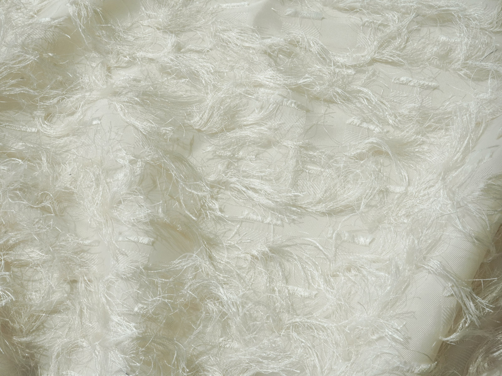 KKF7272 [ D/#2 ]ツッキリジャカード