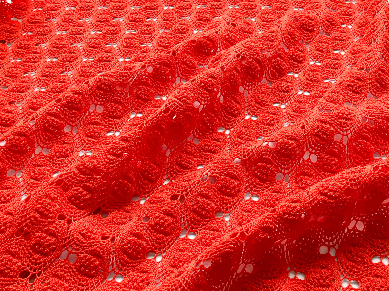 財政および保険の援助